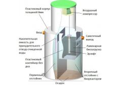 Биозон 6